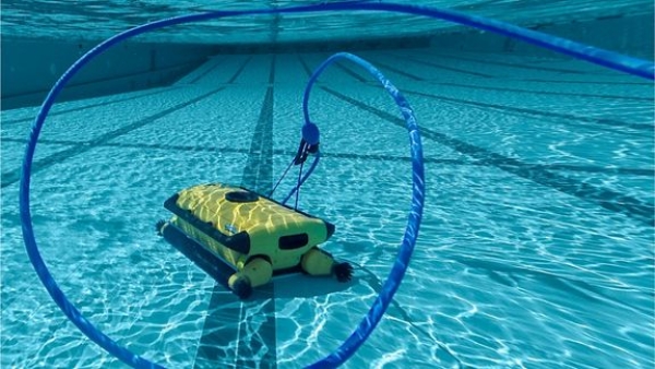 DOLPHIN WAVE 300 XL